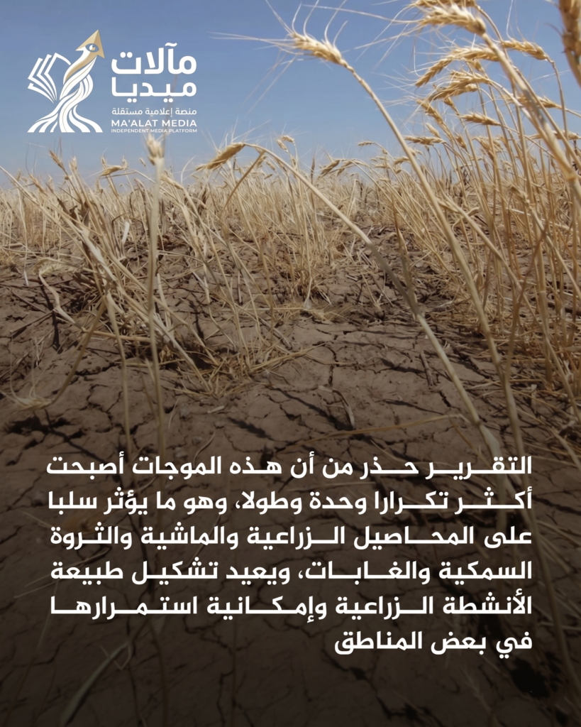 موجات الحر تدق ناقوس الخطر: أزمة مناخية تتحول إلى تهديد مباشر للأمن الغذائي العالمي 00003