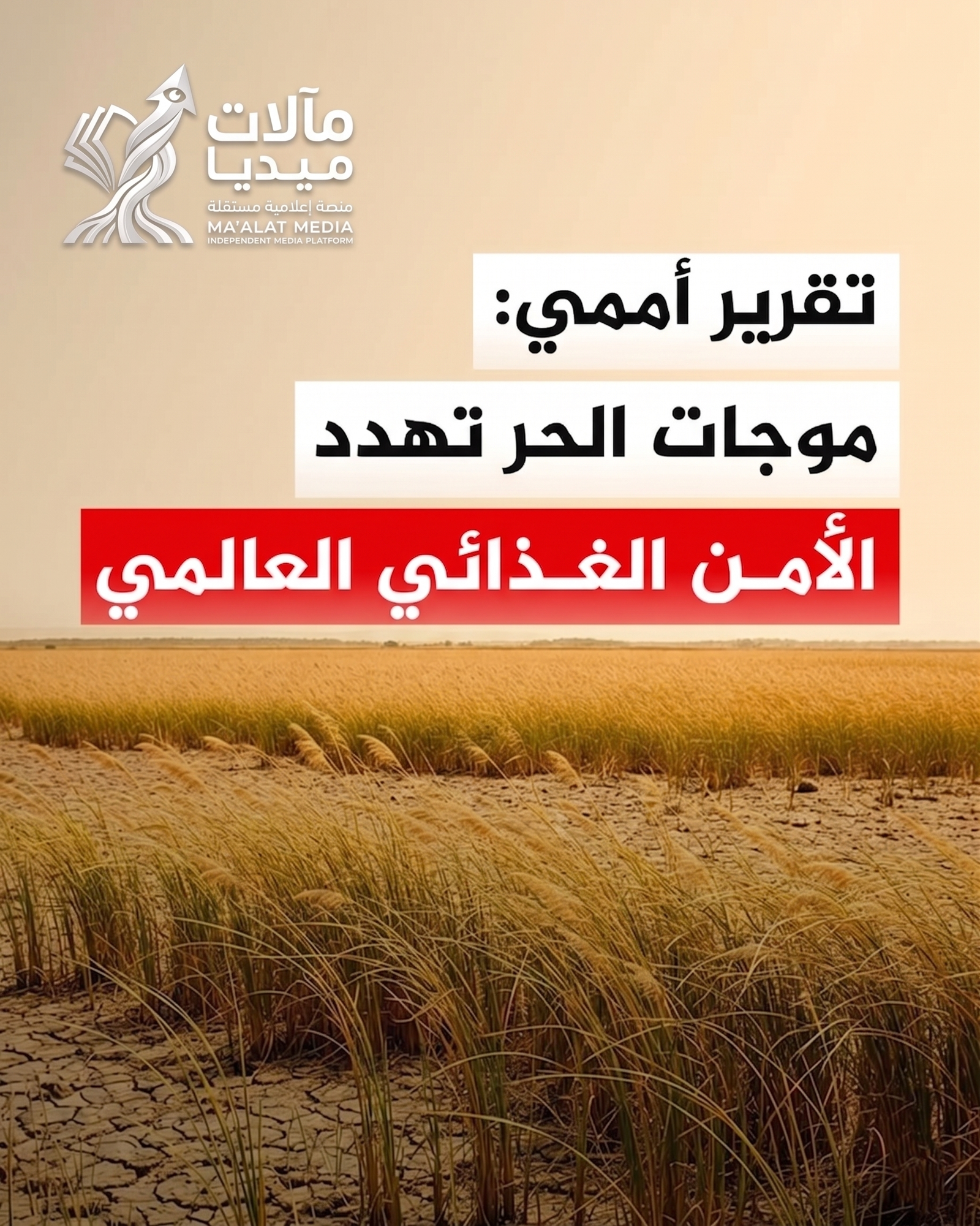موجات الحر تدق ناقوس الخطر: أزمة مناخية تتحول إلى تهديد مباشر للأمن الغذائي العالمي