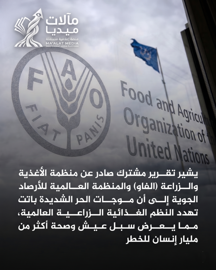 موجات الحر تدق ناقوس الخطر: أزمة مناخية تتحول إلى تهديد مباشر للأمن الغذائي العالمي 00005